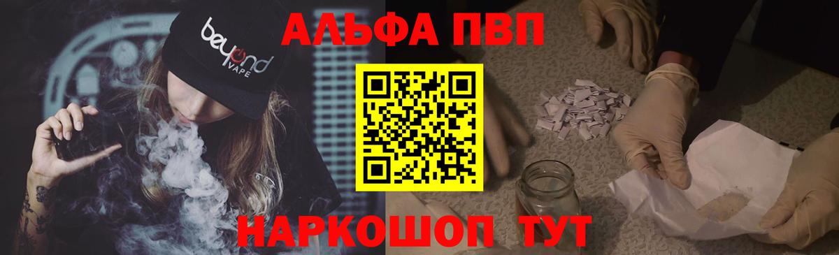 Alfa_PVP СК Нововоронеж