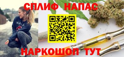 тгк Гусев