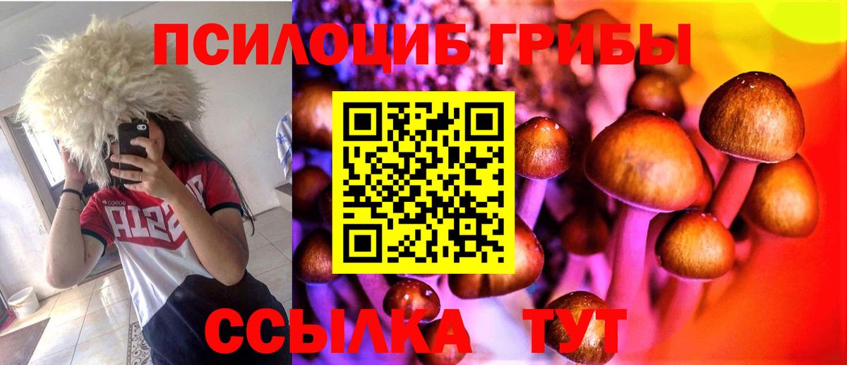 Псилоцибиновые грибы Psilocybe  Вход с VPN  Нововоронеж 