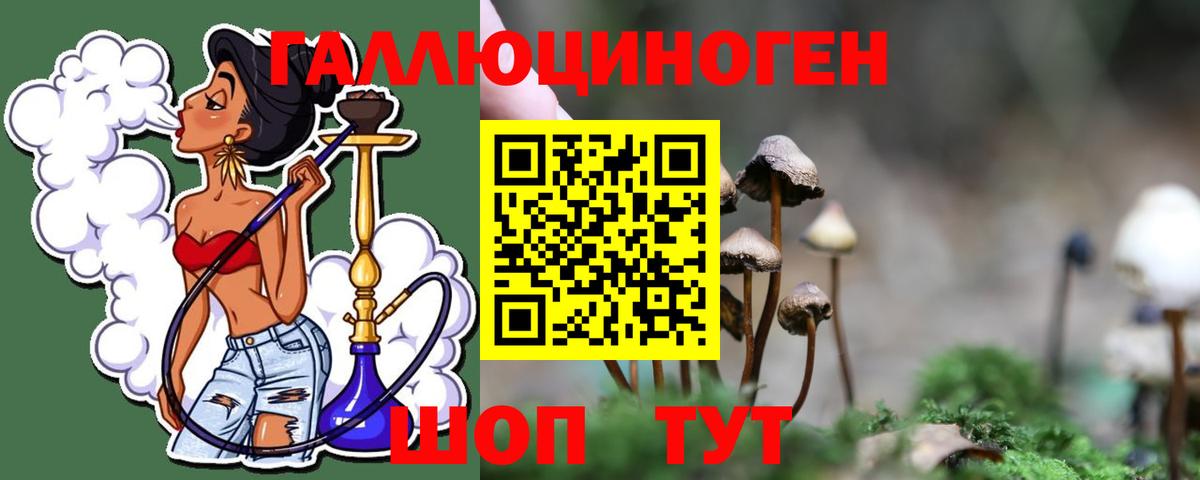 Галлюциногенные грибы прущие грибы Нововоронеж